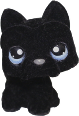 #0315 Scottish Terrier