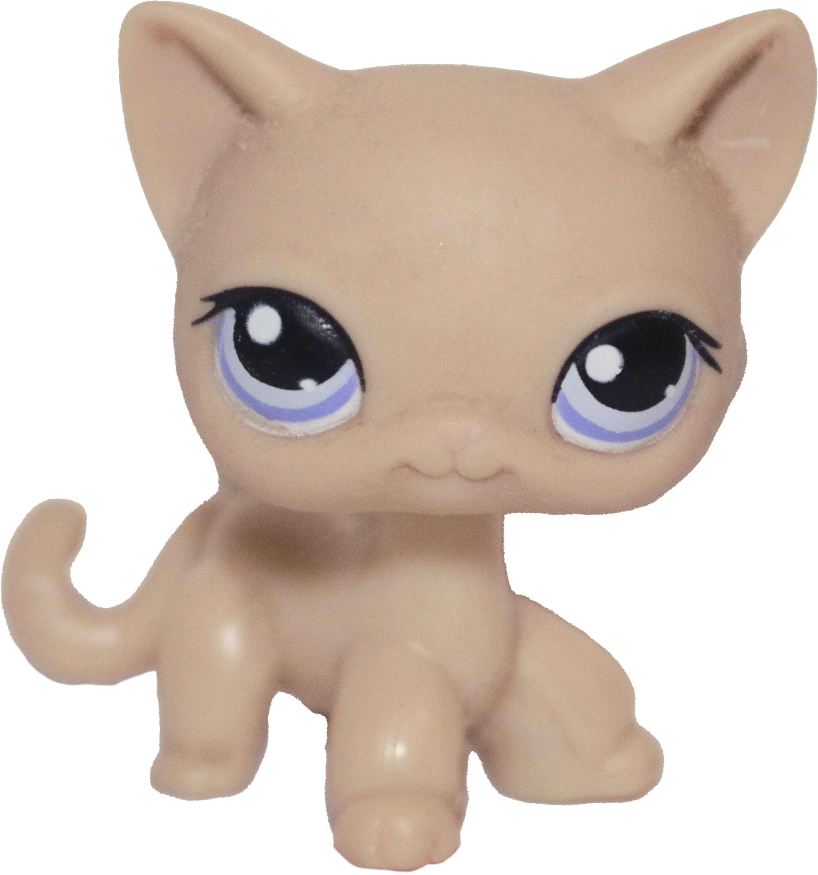 #0318 Shorthair Cat (Deflocked)