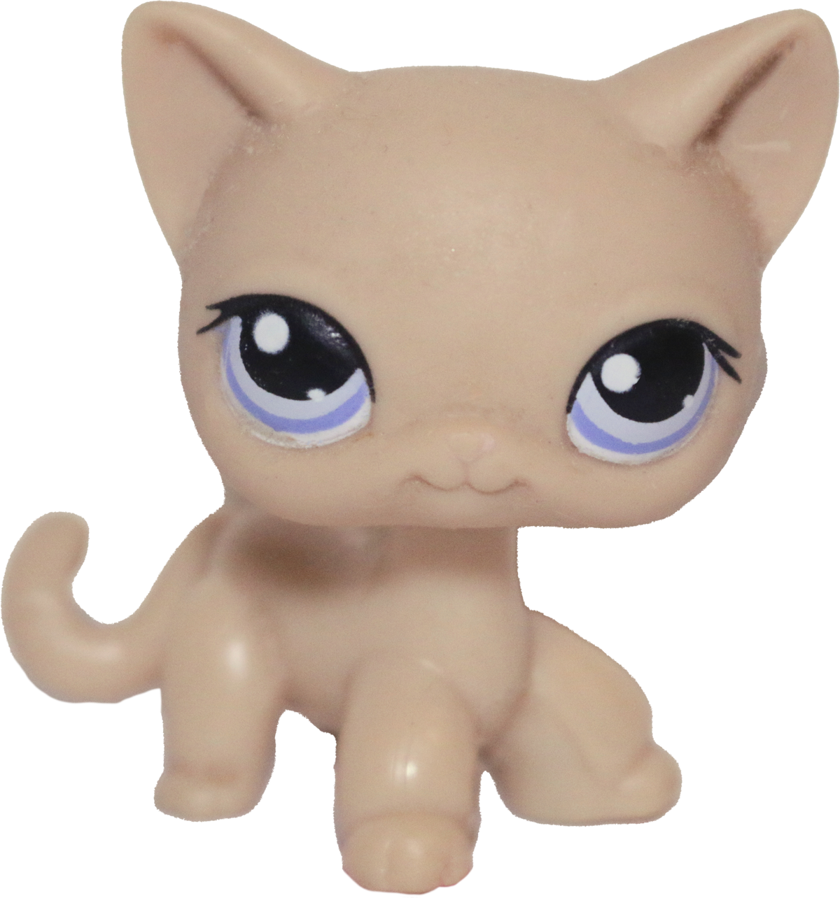 #0318 Shorthair Cat (Deflocked)