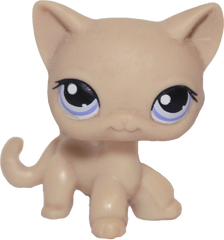 #0318 Shorthair Cat (Deflocked)