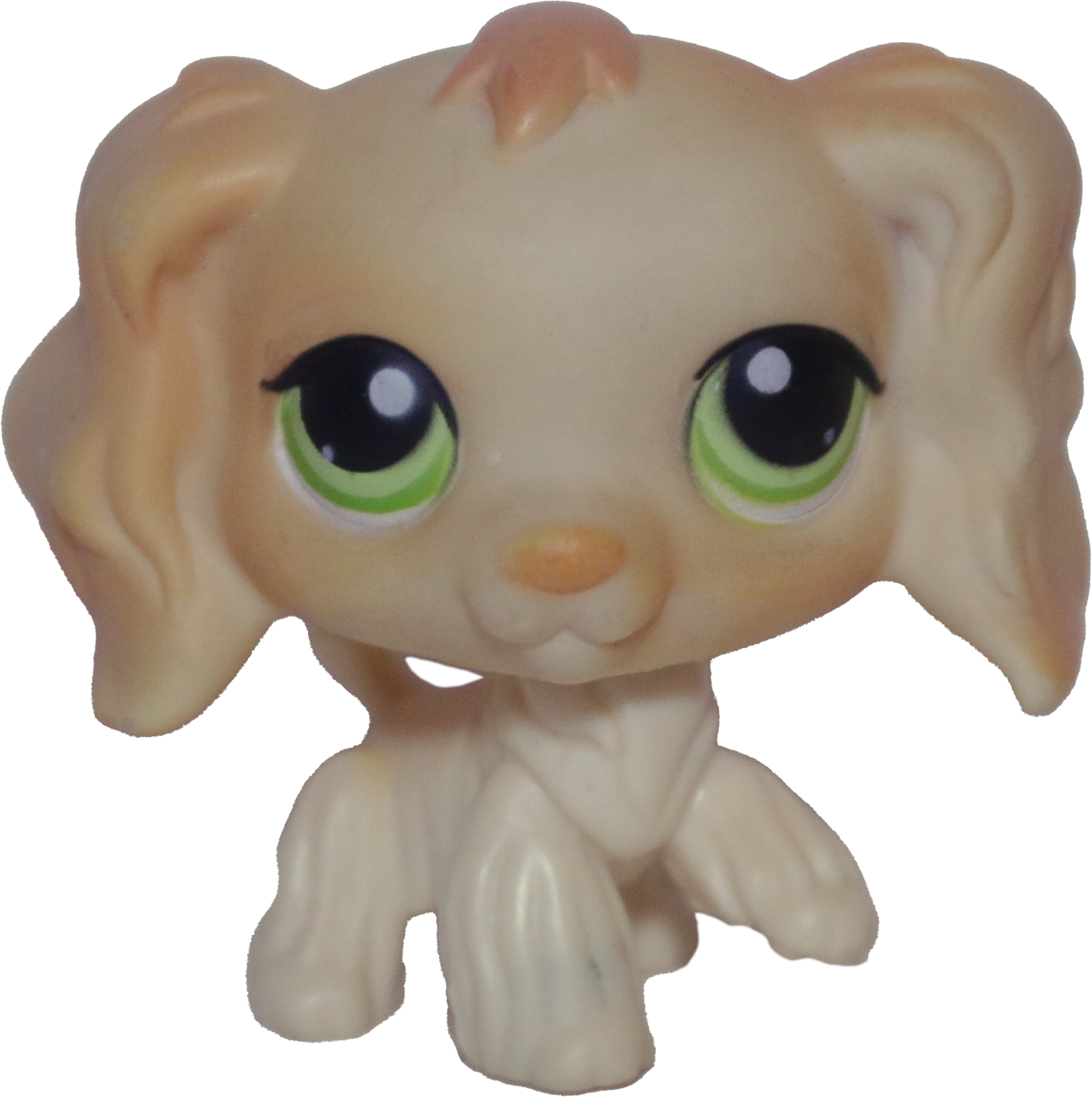 #0347 Cocker Spaniel