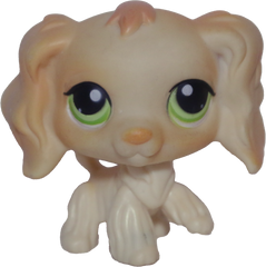 #0347 Cocker Spaniel