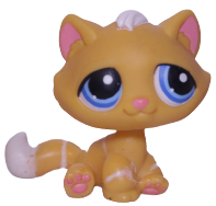 #0349 Sitting Bonbon Cat