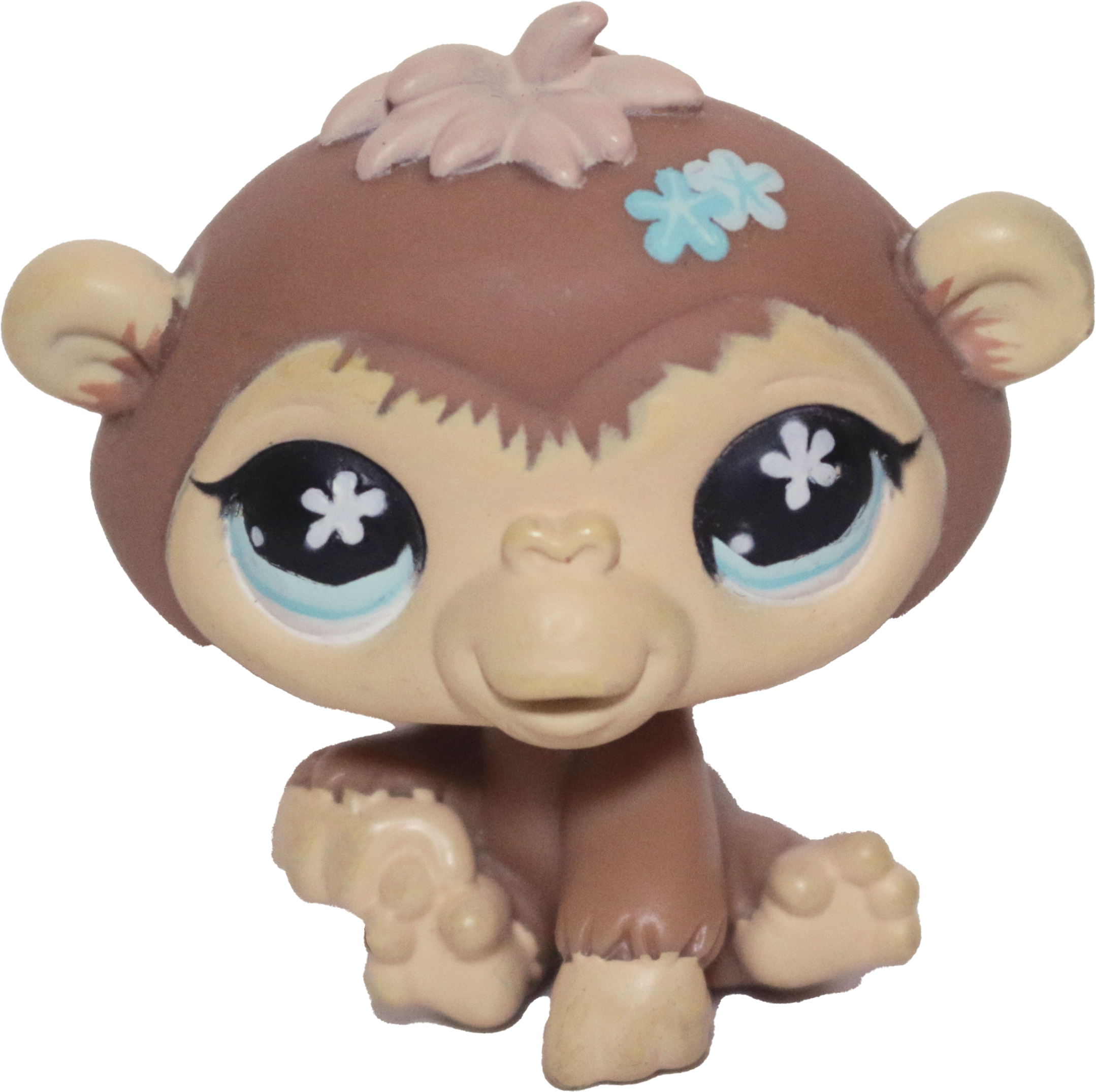 #0486/784 Chimpanzee