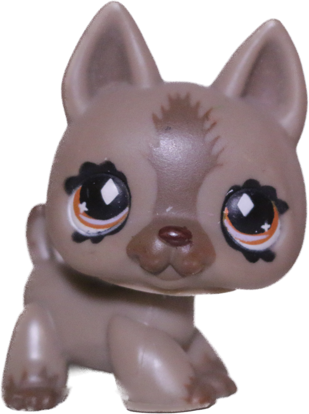 #0491 German Shepherd