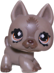 #0491 German Shepherd