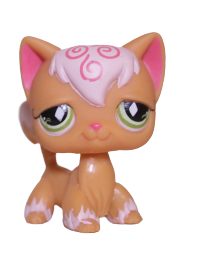 #0511 Angora Longhair Cat