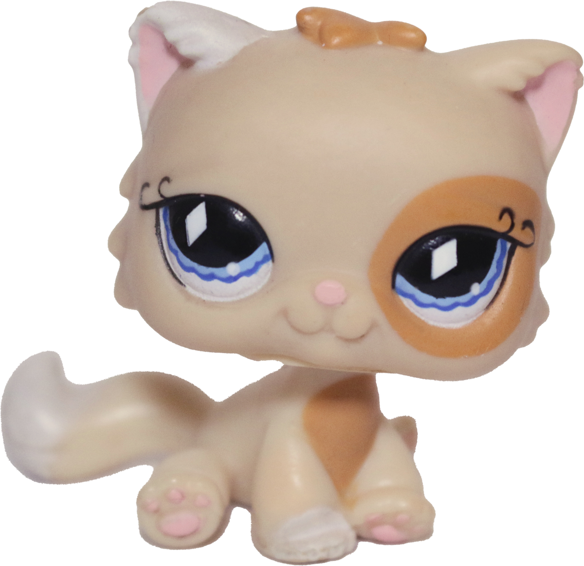 #0521 Sitting Persian Cat