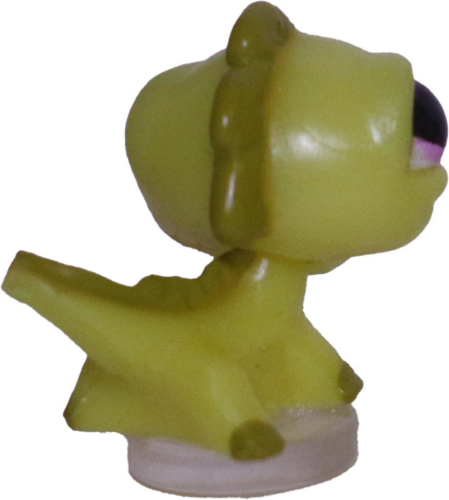 #T?? Teensiest Iguana