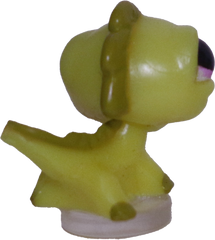 #T?? Teensiest Iguana