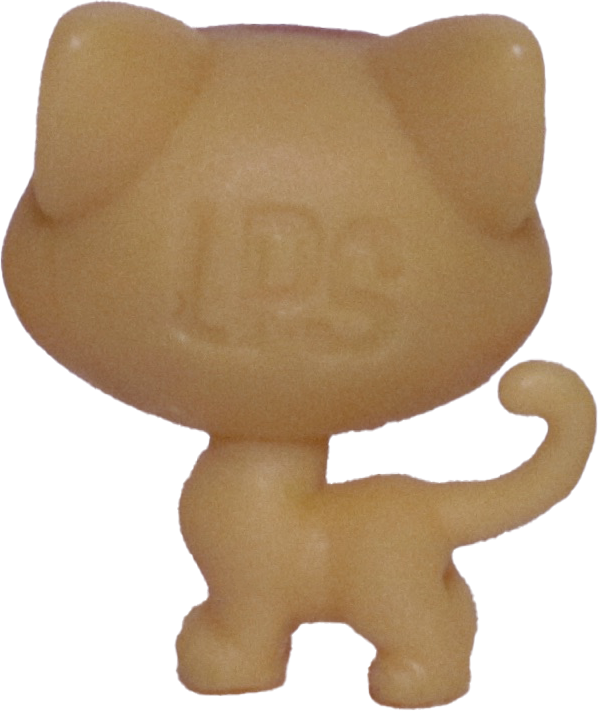 #2-84 Teensy Kitten "Catalina Scrapper"