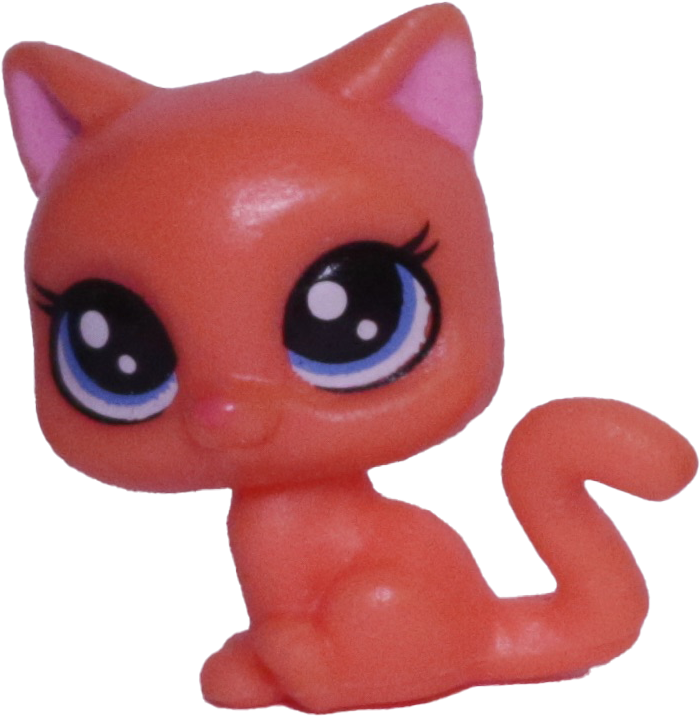 Unknown # Teensy Kitten