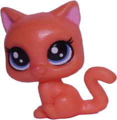 Unknown # Teensy Kitten