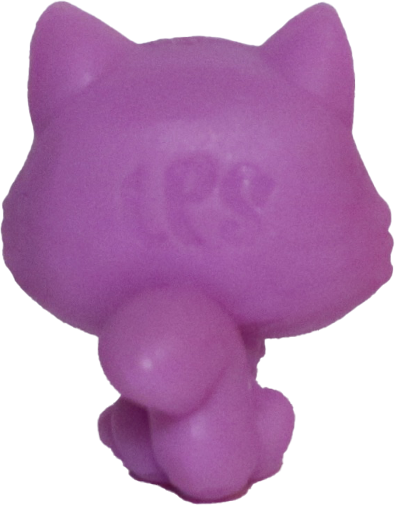 No # Teensy Persian Kitten