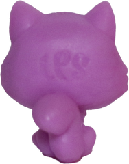 No # Teensy Persian Kitten