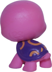 #4142 Mini Turtle "Lollie Shields"