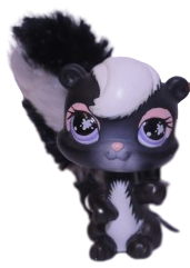 #0641 Skunk