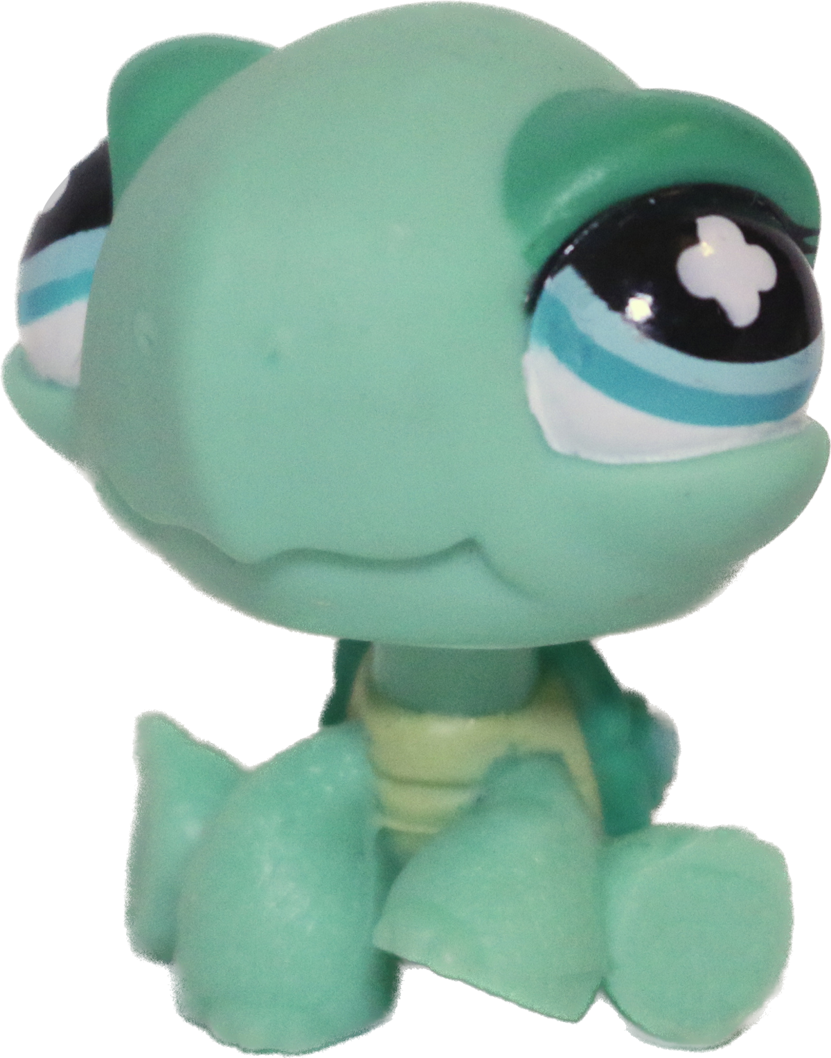 #0642 Turtle