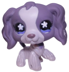 #0672 Cocker Spaniel