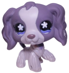 #0672 Cocker Spaniel