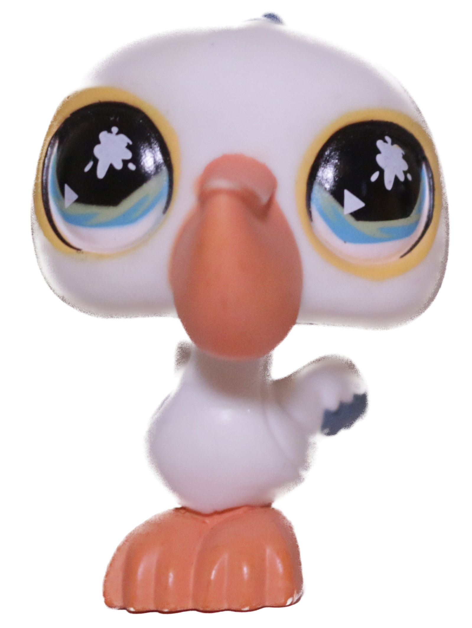 #0741 Pelican