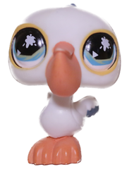 #0741 Pelican