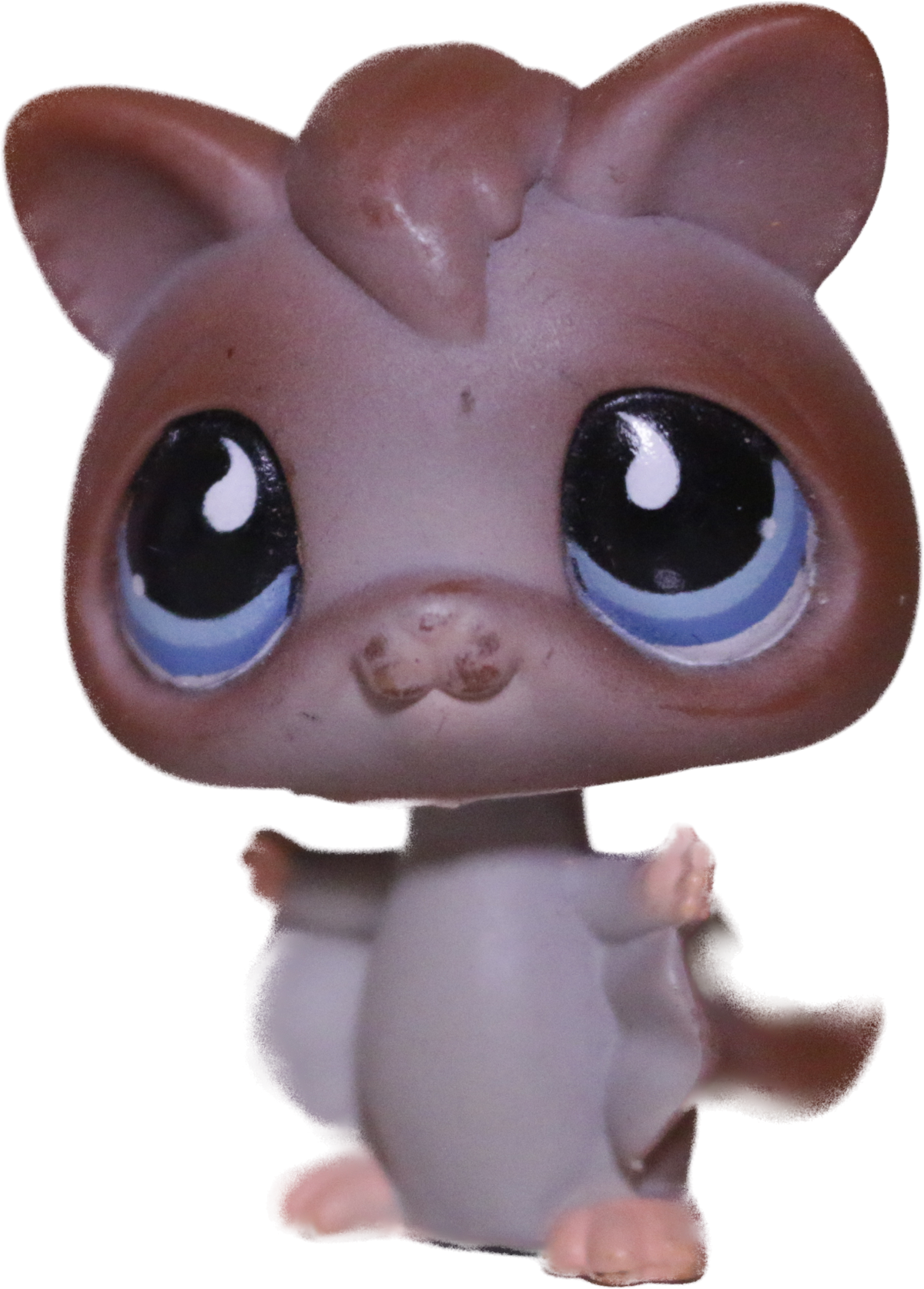 #0787/873 Sugar Glider