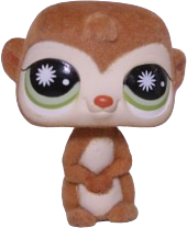 #0819 Meerkat