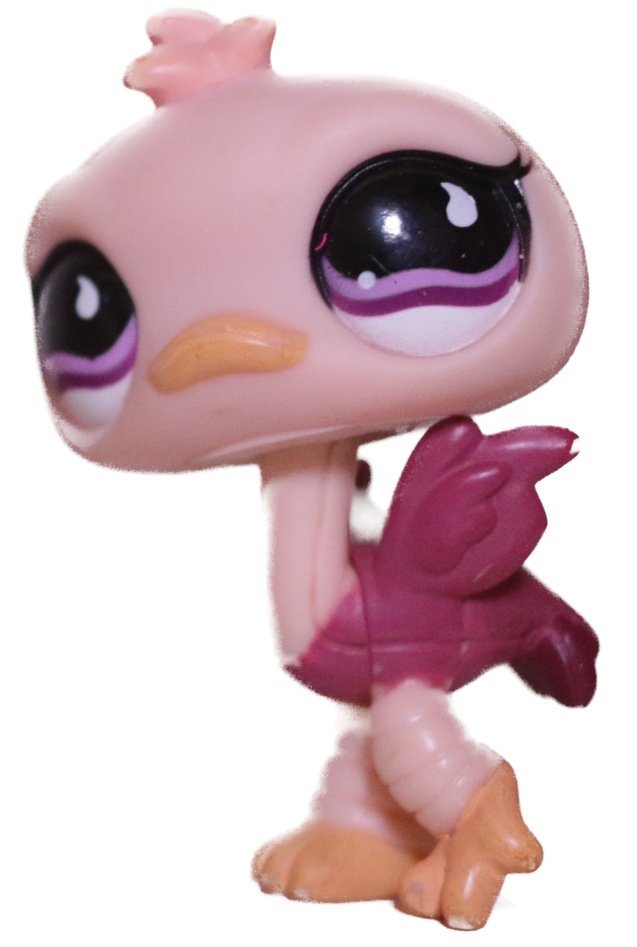 #0851 Ostrich