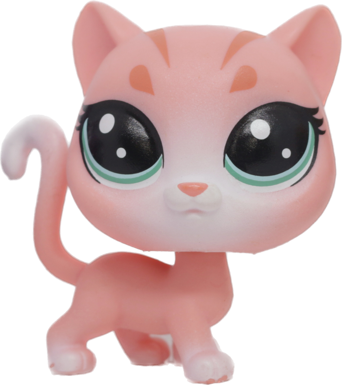 #1-102 Shorthair Cat