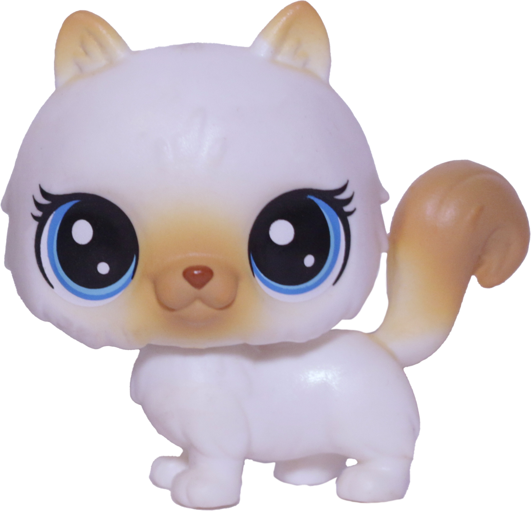 #1-104 Himalayan Cat "Himalia Cattrick"