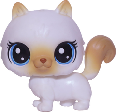 #1-104 Himalayan Cat "Himalia Cattrick"