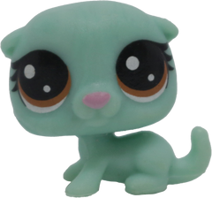 #1-149 Teensy Otter "Opal Otteridge"