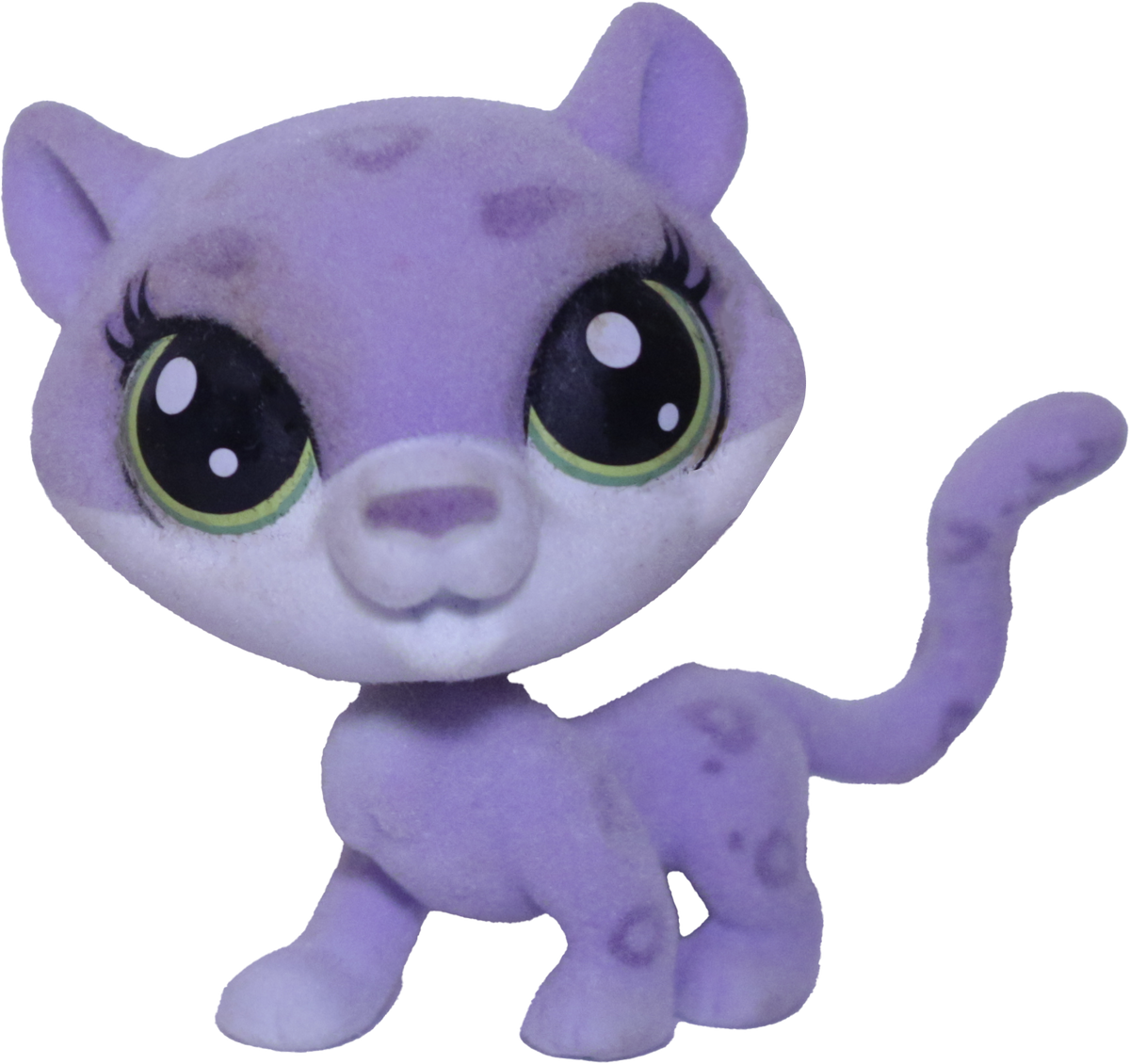 #1-169 Cheetah "Lizzie Snowspots"