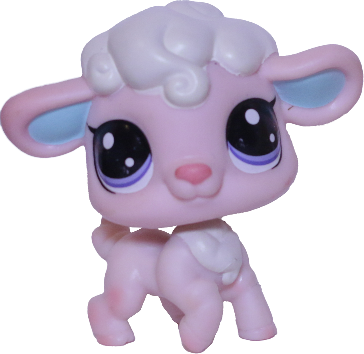 #101 Lamb "Cottontop Curlicue"