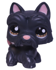 #1034 Scottish Terrier