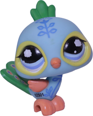 #1069 Peacock