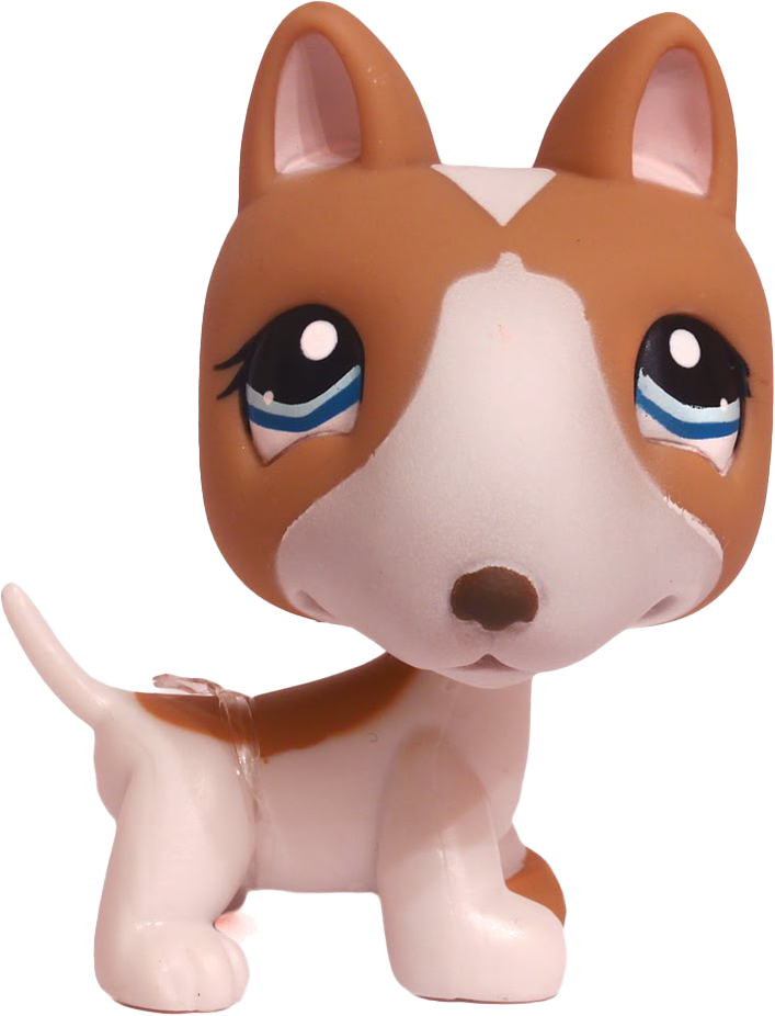 #1095 Bull Terrier