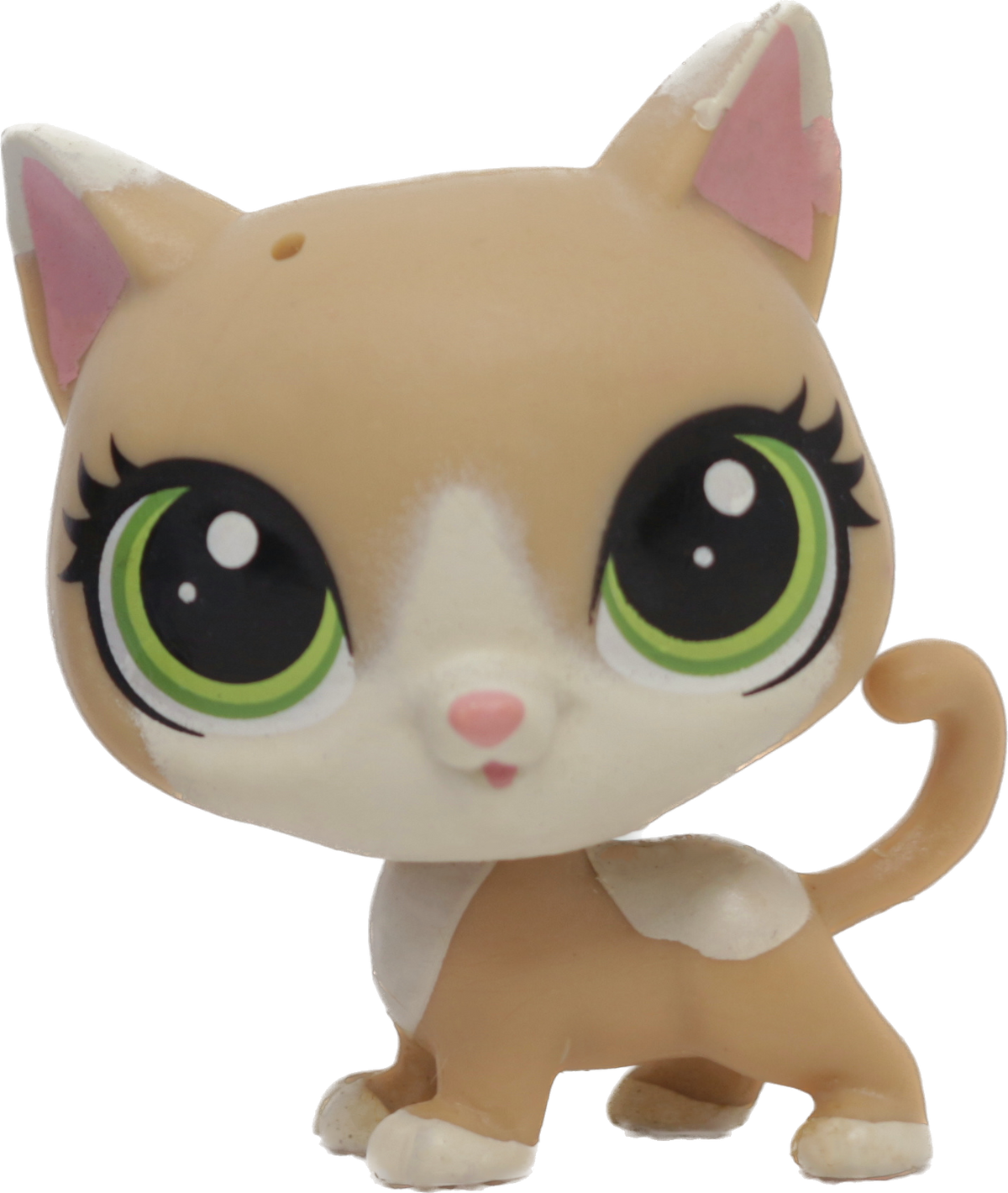 #118 Kitten "Kochka Pawsky"