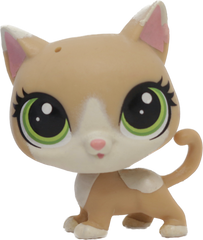 #118 Kitten "Kochka Pawsky"