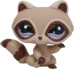#1348 Raccoon