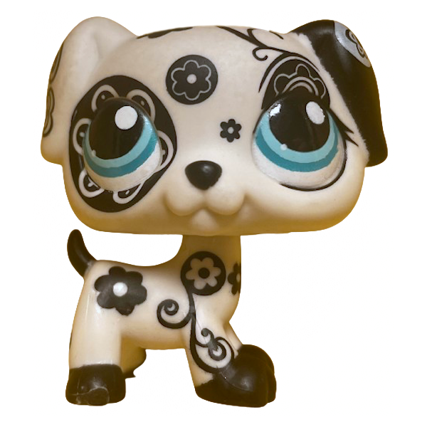 #1613 Dalmatian