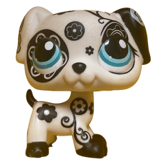 #1613 Dalmatian