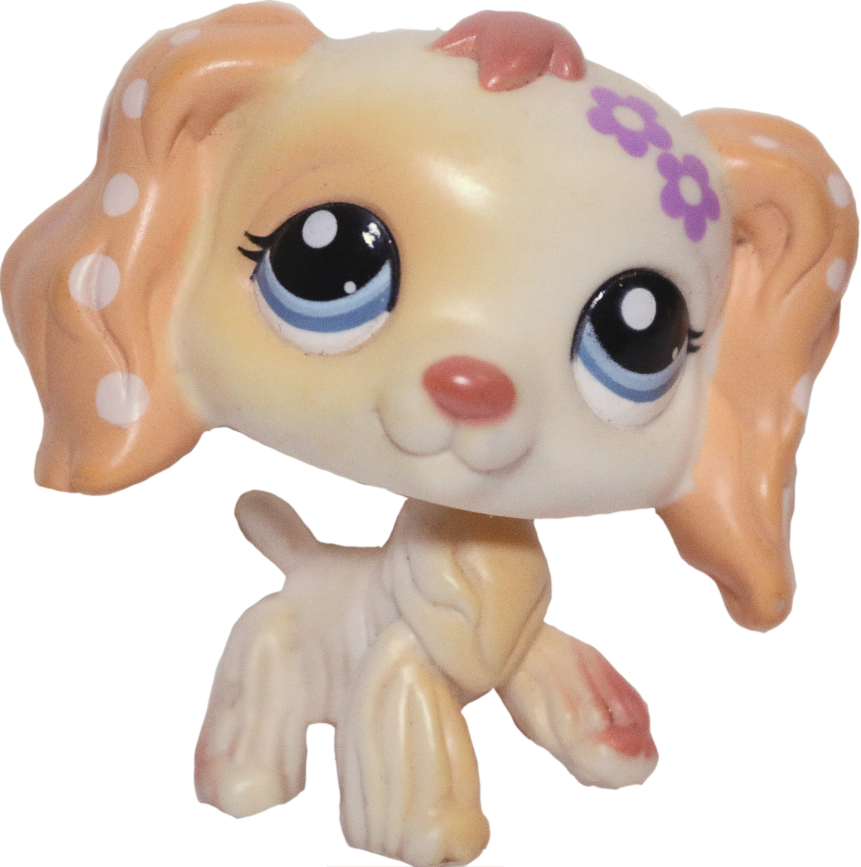 #1615 Cocker Spaniel