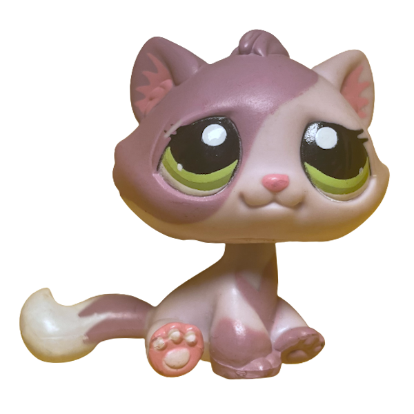 #1660 Sitting Bonbon Cat