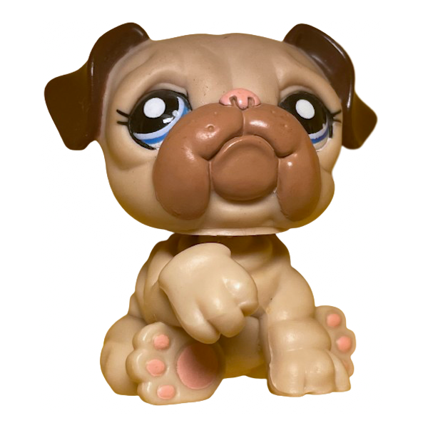 #1765 Bulldog