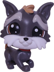 #180 Scottish Terrier "Jedson Whitebeard"