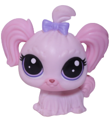 #181 Maltese "Lila-Mae Pinktail"