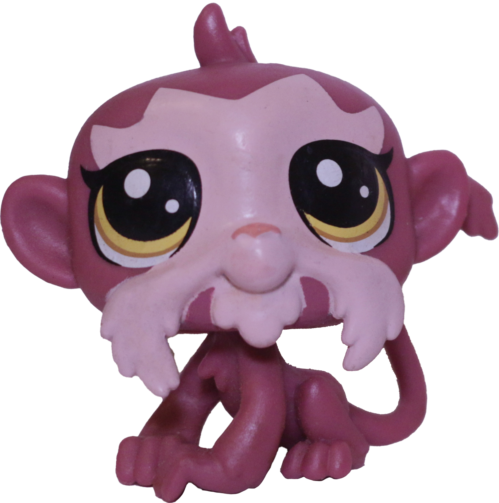 #188 Monkey "Tamarin Beardley"