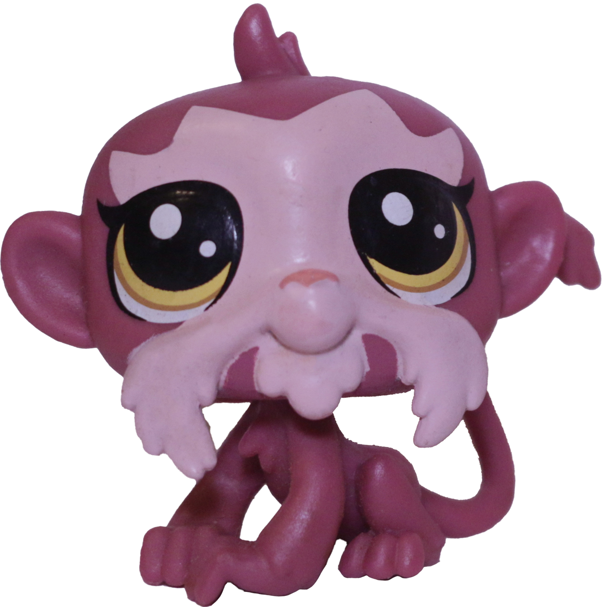 #188 Monkey "Tamarin Beardley"